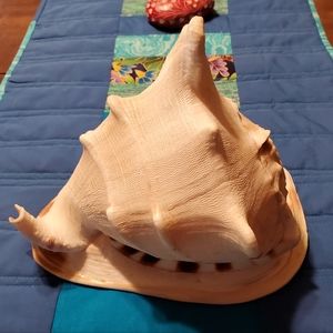 9" Beautiful Natural Conch Shell Large